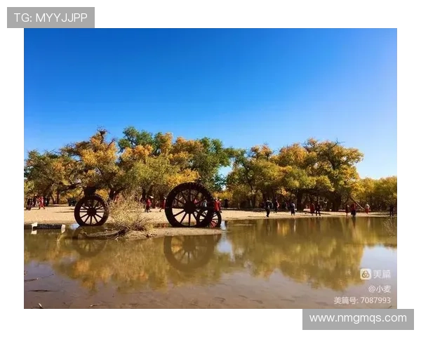 《红高粱》：一部不朽的史诗，一段燃烧的生命赞歌